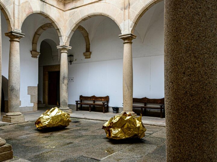 Museo delle Belle Arti  Palacio Ferreyra